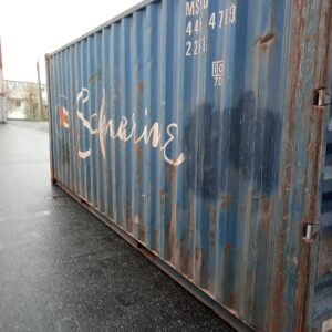 6m (20'DC) Kontener Morski MSKU4454780